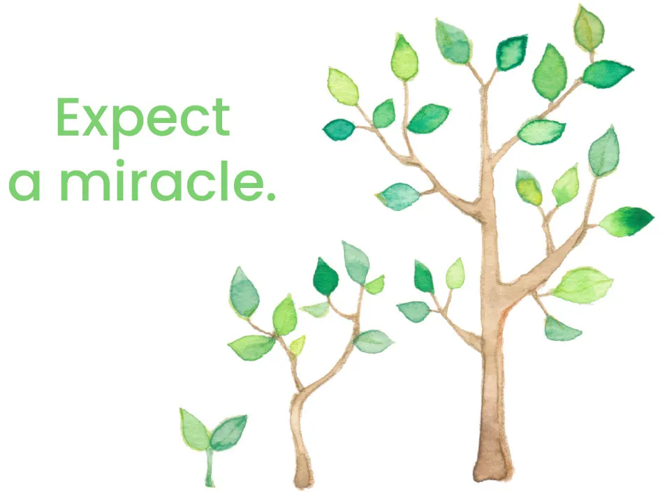 Expect a miracle